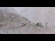 Webcam in St. Valentin auf der Haide, 4 mi away