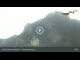 Webcam in Hohenschwangau, 1.1 mi away