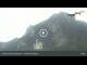 Webcam in Hohenschwangau, 1.1 mi away