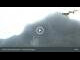 Webcam in Hohenschwangau, 1.2 mi away