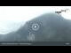 Webcam in Hohenschwangau, 1.1 mi away