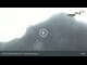 Webcam in Hohenschwangau, 1.6 mi away