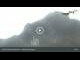 Webcam in Hohenschwangau, 1.1 mi away