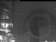 Webcam in Weyregg am Attersee, 5.8 mi away