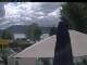 Webcam Weyregg am Attersee