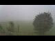 Webcam in Abtenau, 9.2 km entfernt