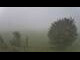 Webcam in Abtenau, 3.5 mi away