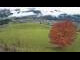 Webcam in Abtenau, 9.2 km