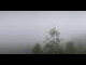 Webcam in Lumnezia, 4.2 mi away