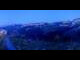 Webcam in Ebenalp, 2.2 mi away