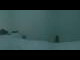 Webcam in Ebenalp, 2.2 mi away