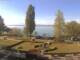 Webcam in Hagnau am Bodensee, 10.6 km entfernt
