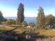 Webcam in Hagnau am Bodensee, 10.6 km