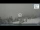 Webcam in Rußbach am Paß Gschütt, 0.6 mi away