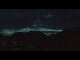 Webcam in Obermieming, 4.4 mi away