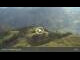 Webcam in Zweisimmen, 13 km