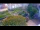 Webcam in Baden-Baden, 15.1 km entfernt