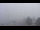 Webcam in Torfhaus, 4.5 km