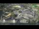 Webcam in Munich, 4.5 km