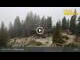 Webcam in Zell am Ziller, 2.9 km