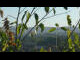 Webcam in Melle, 12 mi away