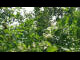Webcam in Melle, 12 mi away