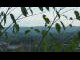 Webcam in Melle, 31.1 km