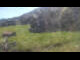 Webcam in Oberjoch, 3.2 mi away