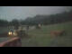Webcam in Oberjoch, 4.9 km