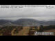 Webcam in Willingen (Upland), 0.8 mi away