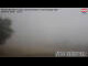 Webcam in Hochwolkersdorf, 1.2 mi away
