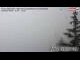 Webcam in Trins, 4.8 km