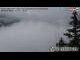 Webcam in Trins, 9 km entfernt