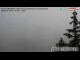 Webcam in Trins, 4.8 km