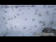 Webcam in Kleinfleißkees, 6.8 km entfernt