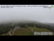 Webcam in Golling an der Salzach, 1.4 km