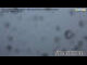 Webcam in Schönau am Königssee, 0 mi away