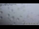 Webcam in Rauris, 9.5 km entfernt
