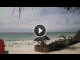Webcam in Bwejuu (Zanzibar), 37.4 mi away