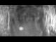 Webcam in Gossensaß, 0.1 mi away