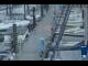 Webcam in Schilksee, 12.7 km