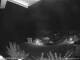 Webcam in Dorfgastein, 3.6 km entfernt