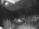 Webcam in Dorfgastein, 7.1 km entfernt