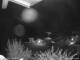 Webcam in Dorfgastein, 2.7 mi away