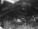 Webcam in Dorfgastein, 7.1 km