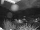 Webcam in Dorfgastein, 3.6 km