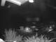 Webcam in Dorfgastein, 0.4 km