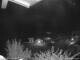 Webcam in Dorfgastein, 8.8 km