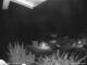 Webcam in Dorfgastein, 8.8 km