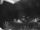 Webcam in Dorfgastein, 0 mi away